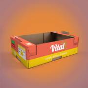 Pinch Lock Tray Boxes