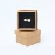 Earring-Boxes2